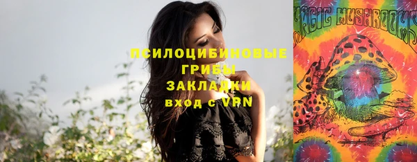 apvp Алексеевка