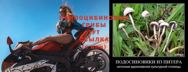 экстази Армянск