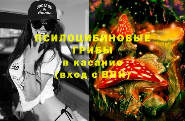 трава Алексин